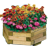 Blumenkübel & Pflanzkästen